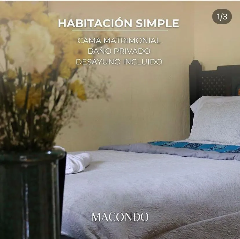 Bed & Breakfast Hostal Casa Macondo Cuenca
